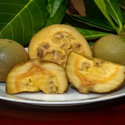 Jenipapo - Polpa 1kg