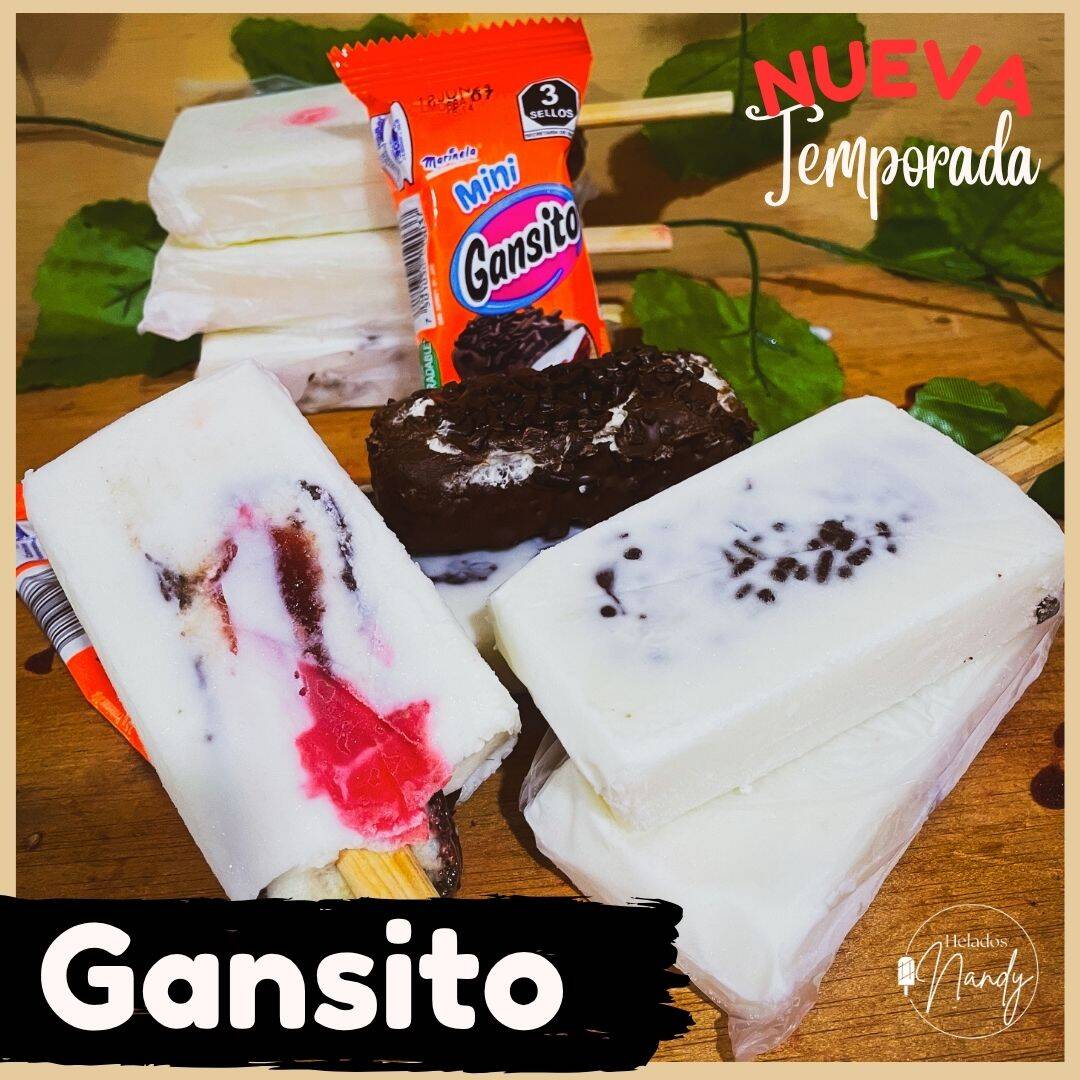 Paleta Gourmet de Gansito