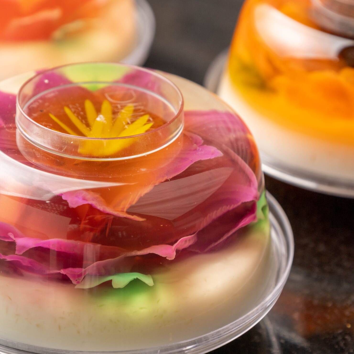 Gelatina de Flor