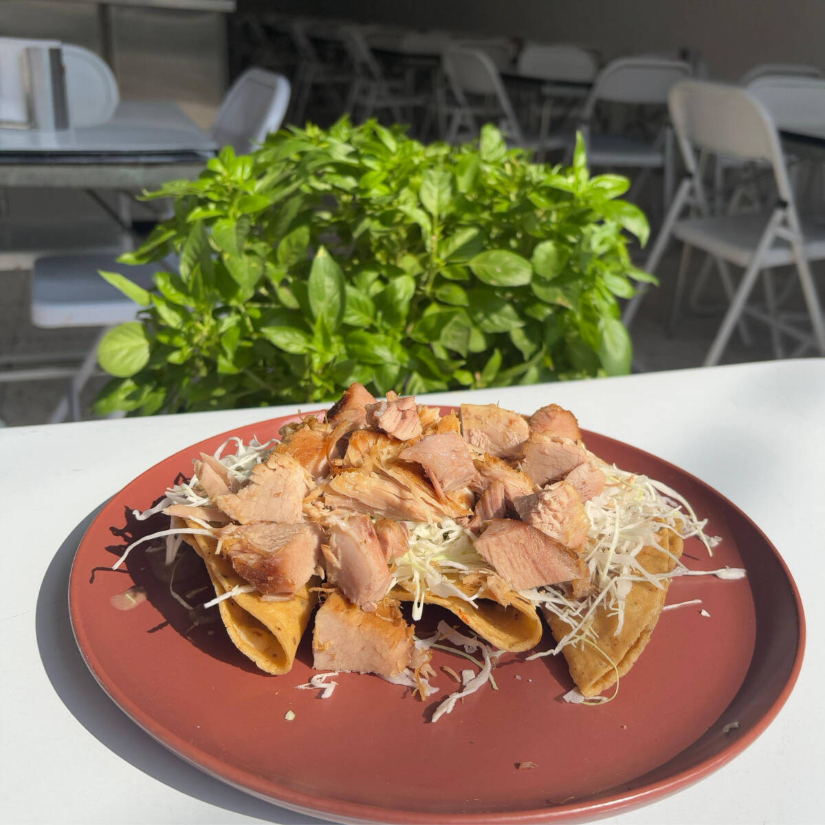 Taco Dorado con Carne