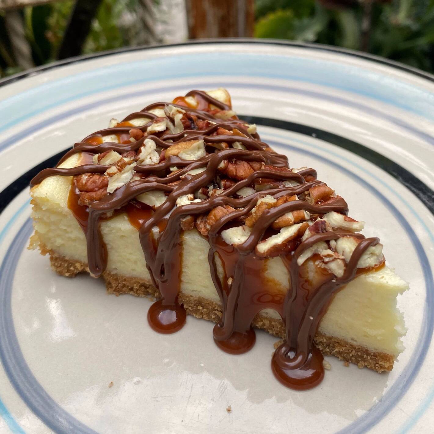 Cheesecake Tortuga