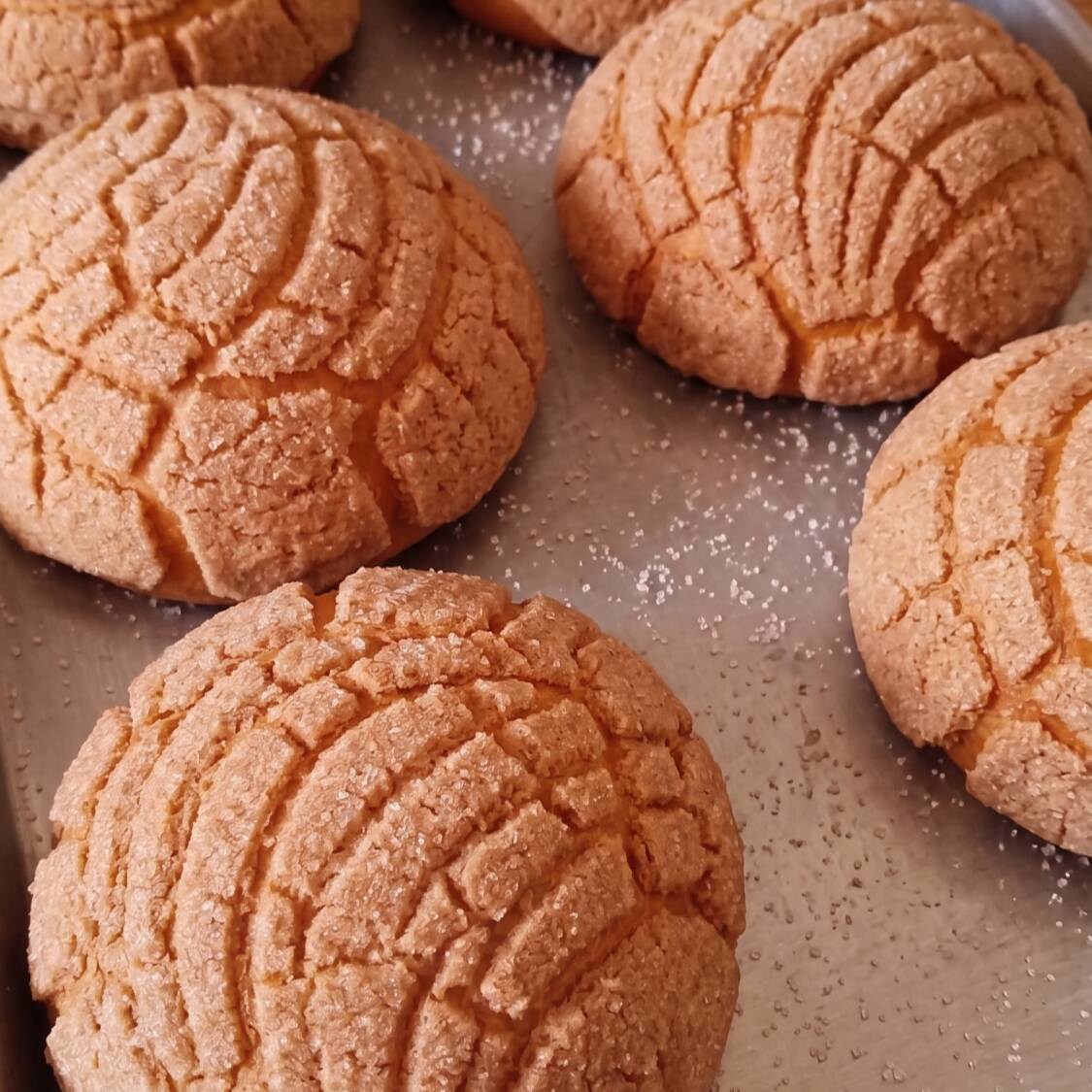 Concha de Vainilla