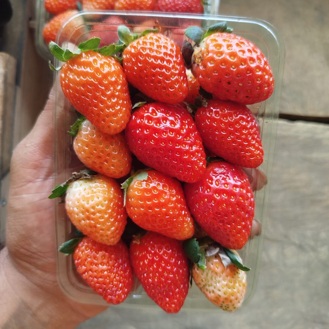 1 deliciosa caixinha de morango fresquinho