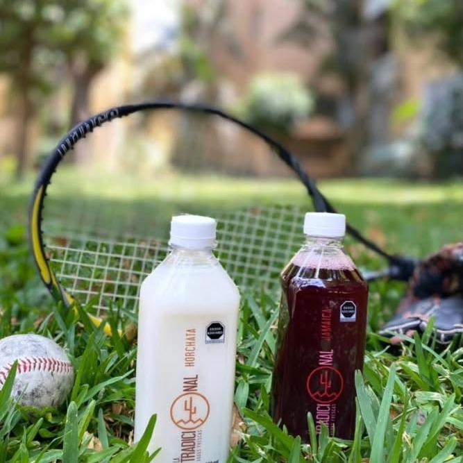 Agua Fresca 500 ml
