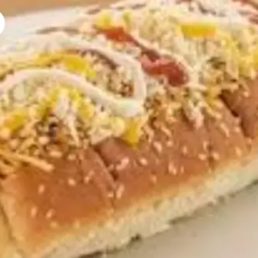 PERRO MEXICANO
