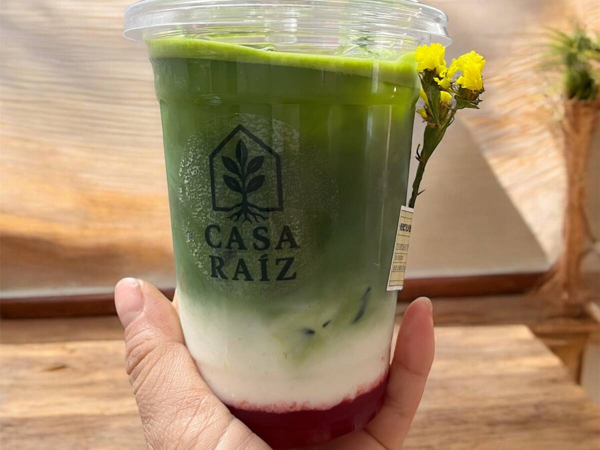 Casa Raíz