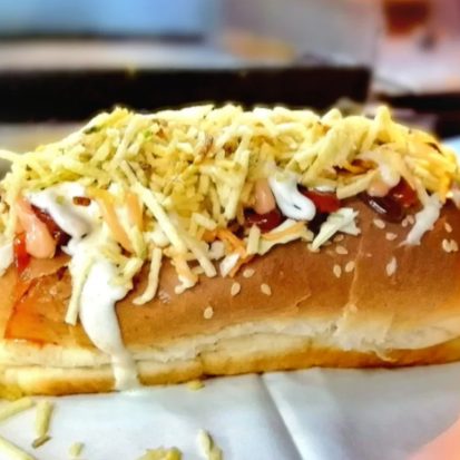 Perro Mixto