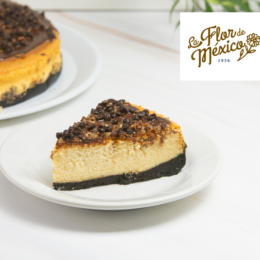 Chessecake tortuga