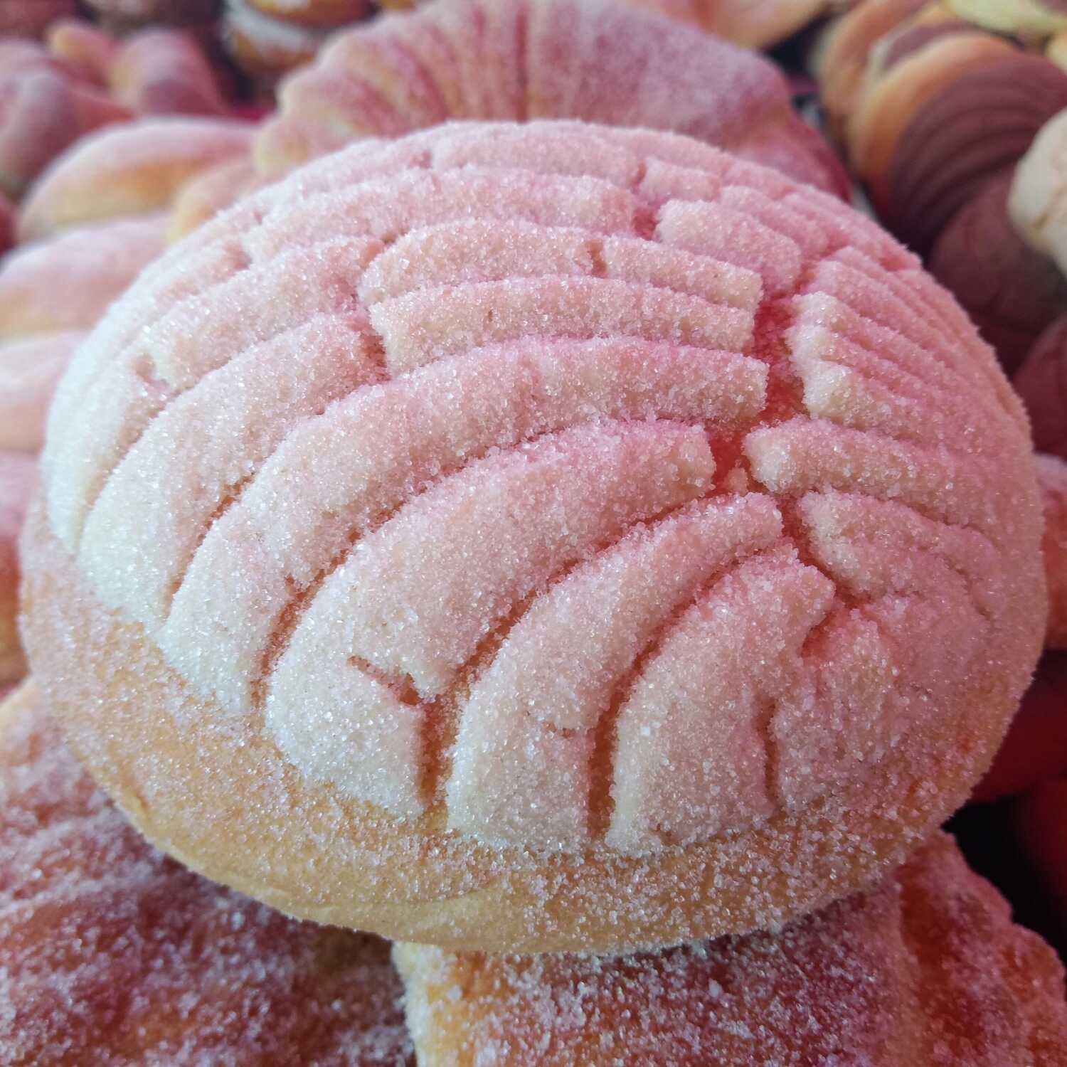 Panadero Vainilla