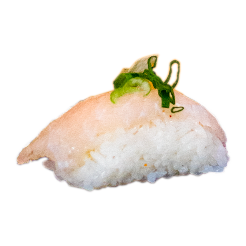 ROBALO