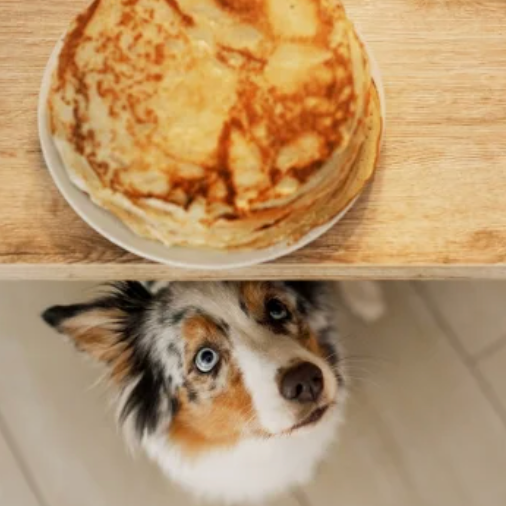 Snack para Tu Fiel Compañero