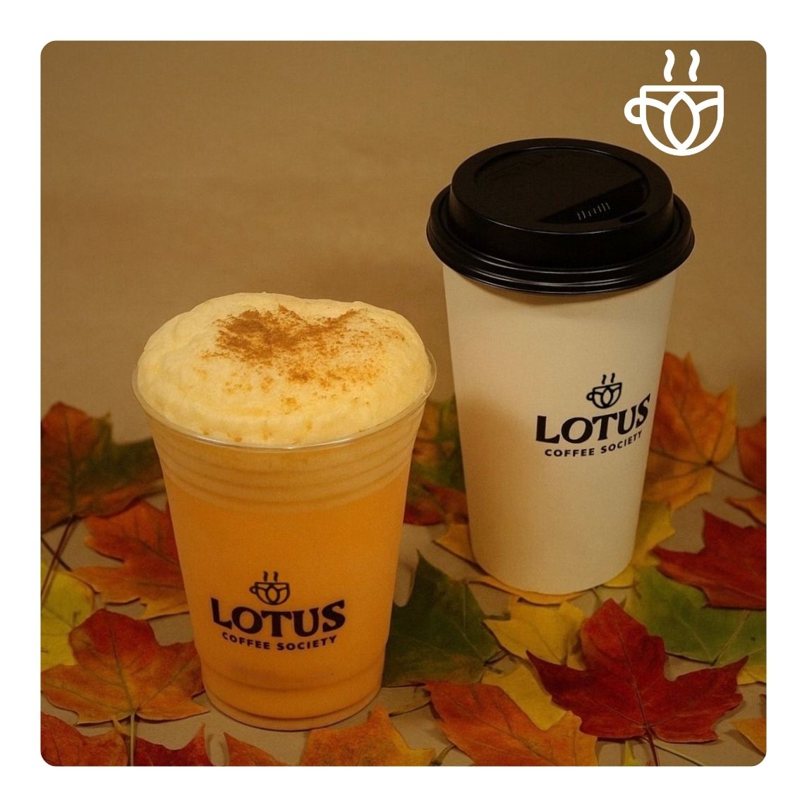 Pumpkin Pie Milk (16 oz)