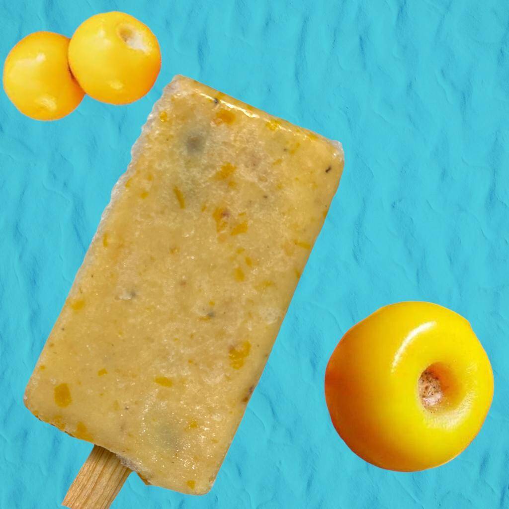 PALETA DE AGUA SABOR NANCHE