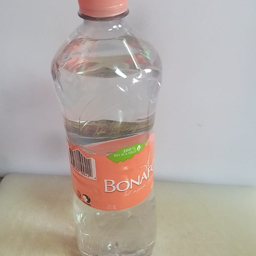 Agua Natural 1 lt