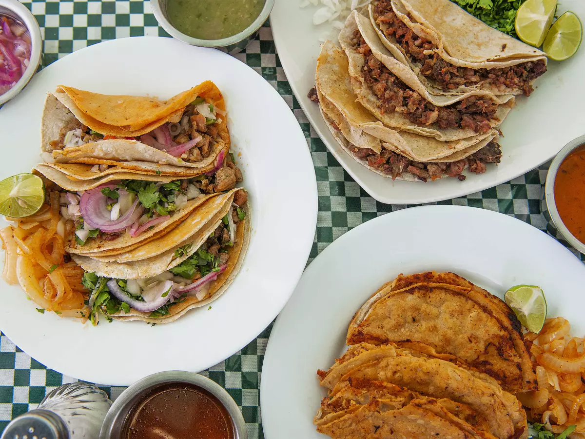 Realiza un pedido a Tacos de birria Monroy | DiDi Food