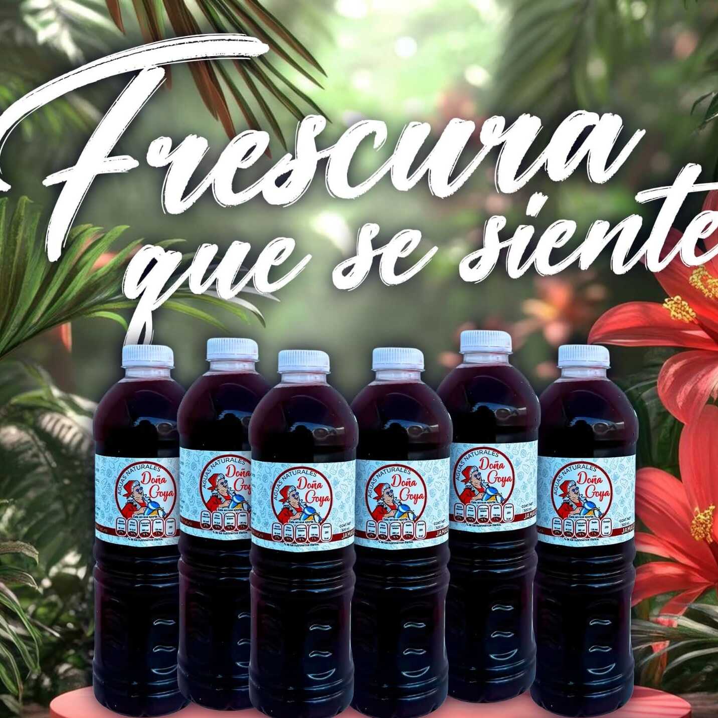 Agua de Jamaica 500 Ml