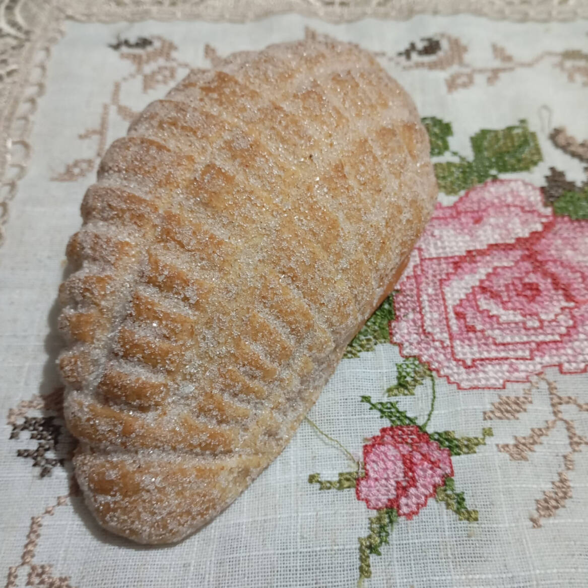 Cocodrilo