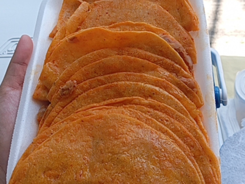 Tacos Tuxpeños Moni