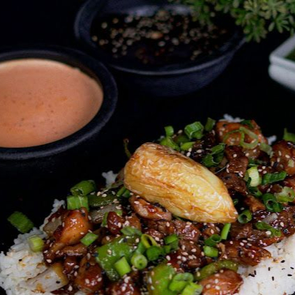 TERIYAKI DE POLLO