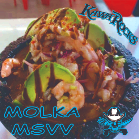 MOLCAJETE MSVV