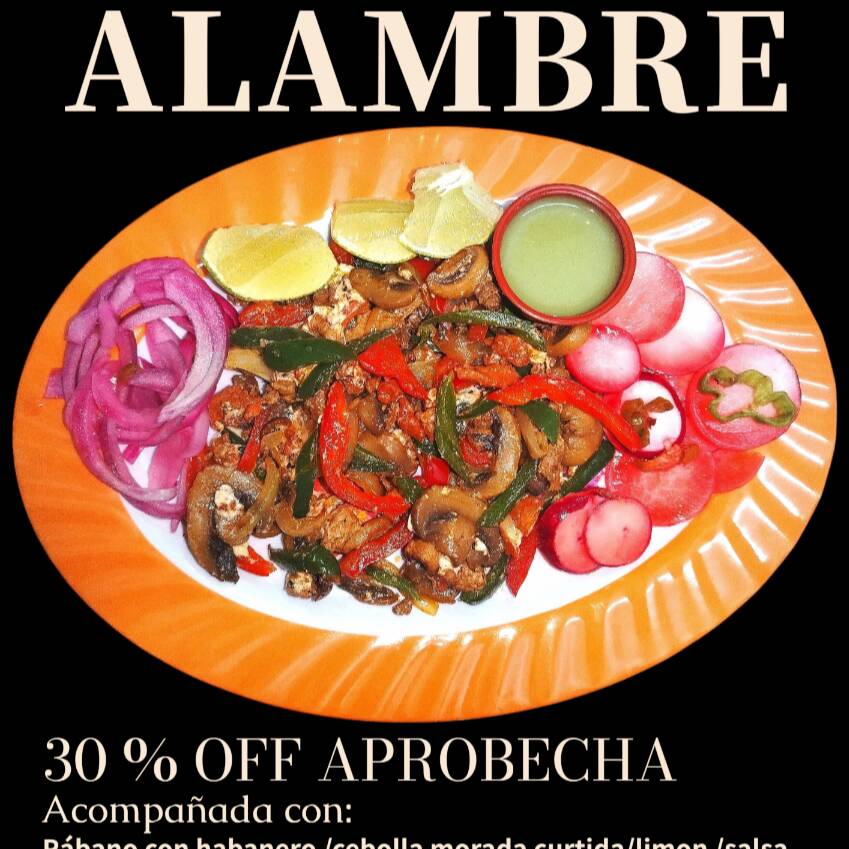 Horden de Alambre
