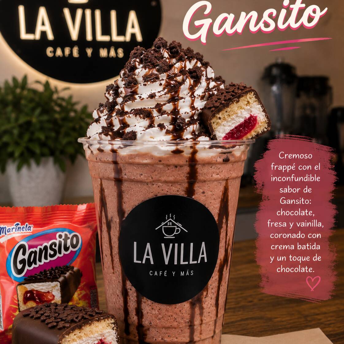 FRAPPE DE GANSITO