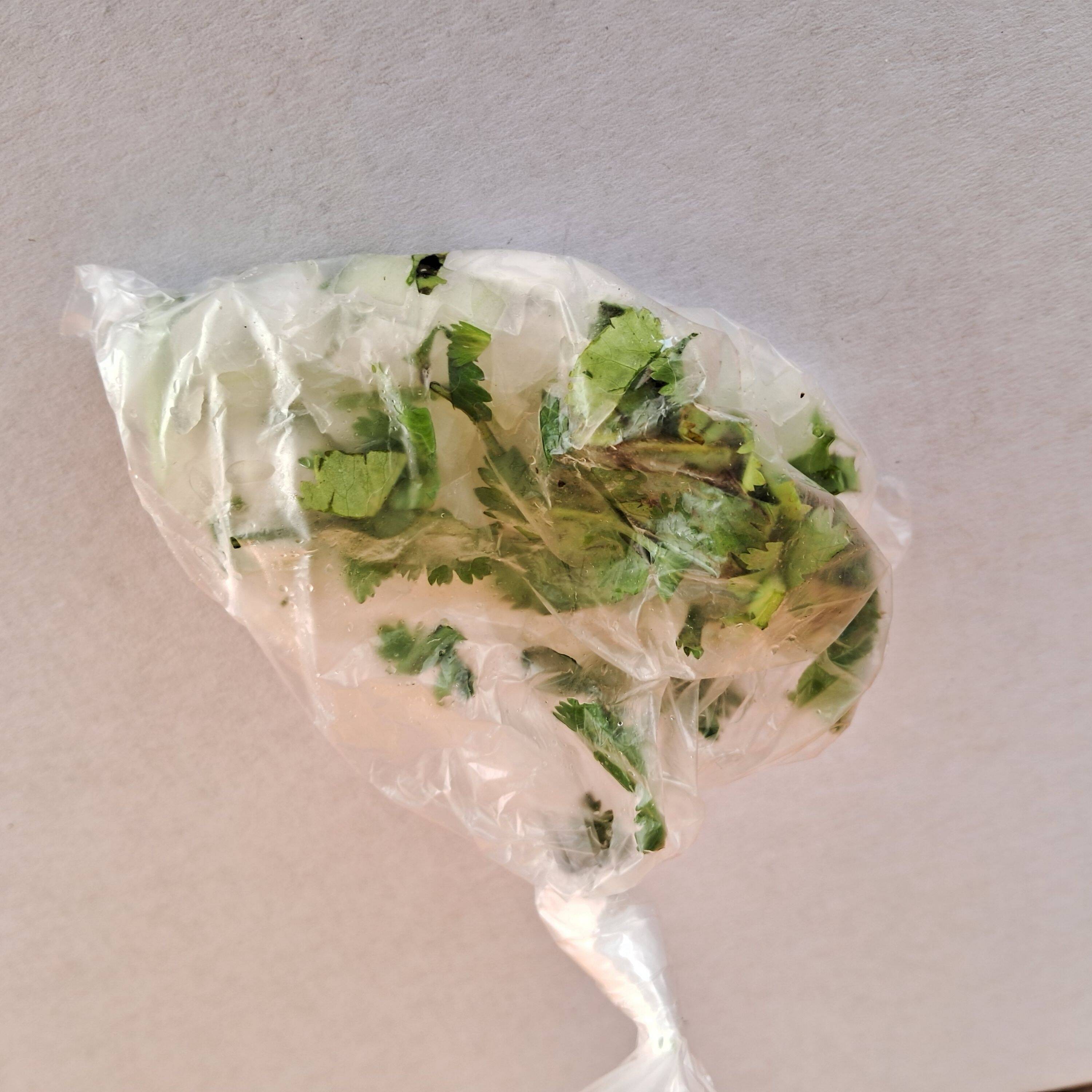 Cebolla y cilantro