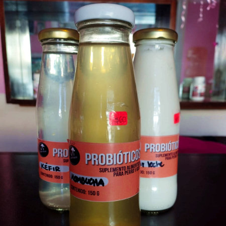 Kombucha 125 ML