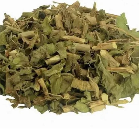 Erva cidreira (Melissa) para fazer cha