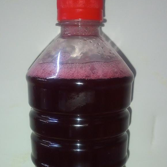 Agua de Jamaica 1 L.