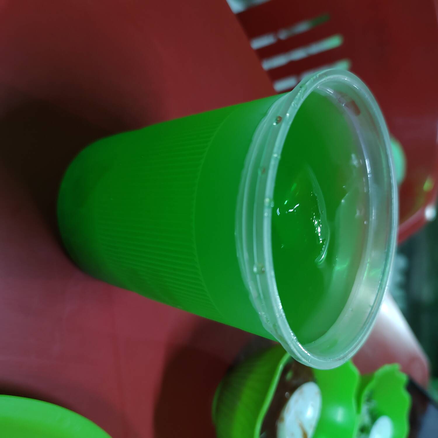 AGUA DE TOMATE VERDE 1/2 L.