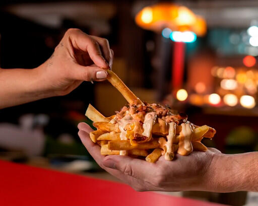 Fries especiales