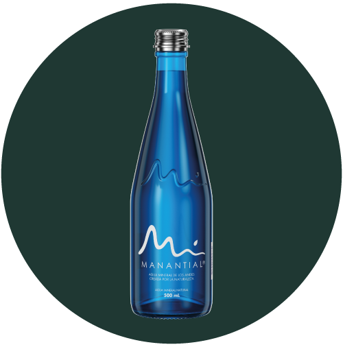 Agua Manantial 500ML