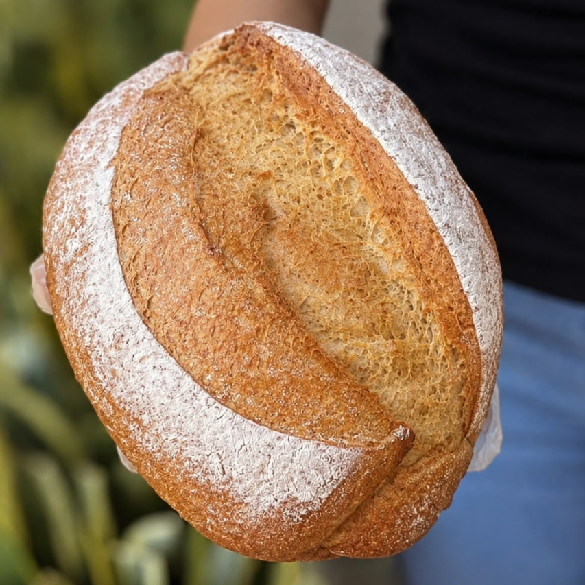 HOGAZA DE MASA MADRE INTEGRAL