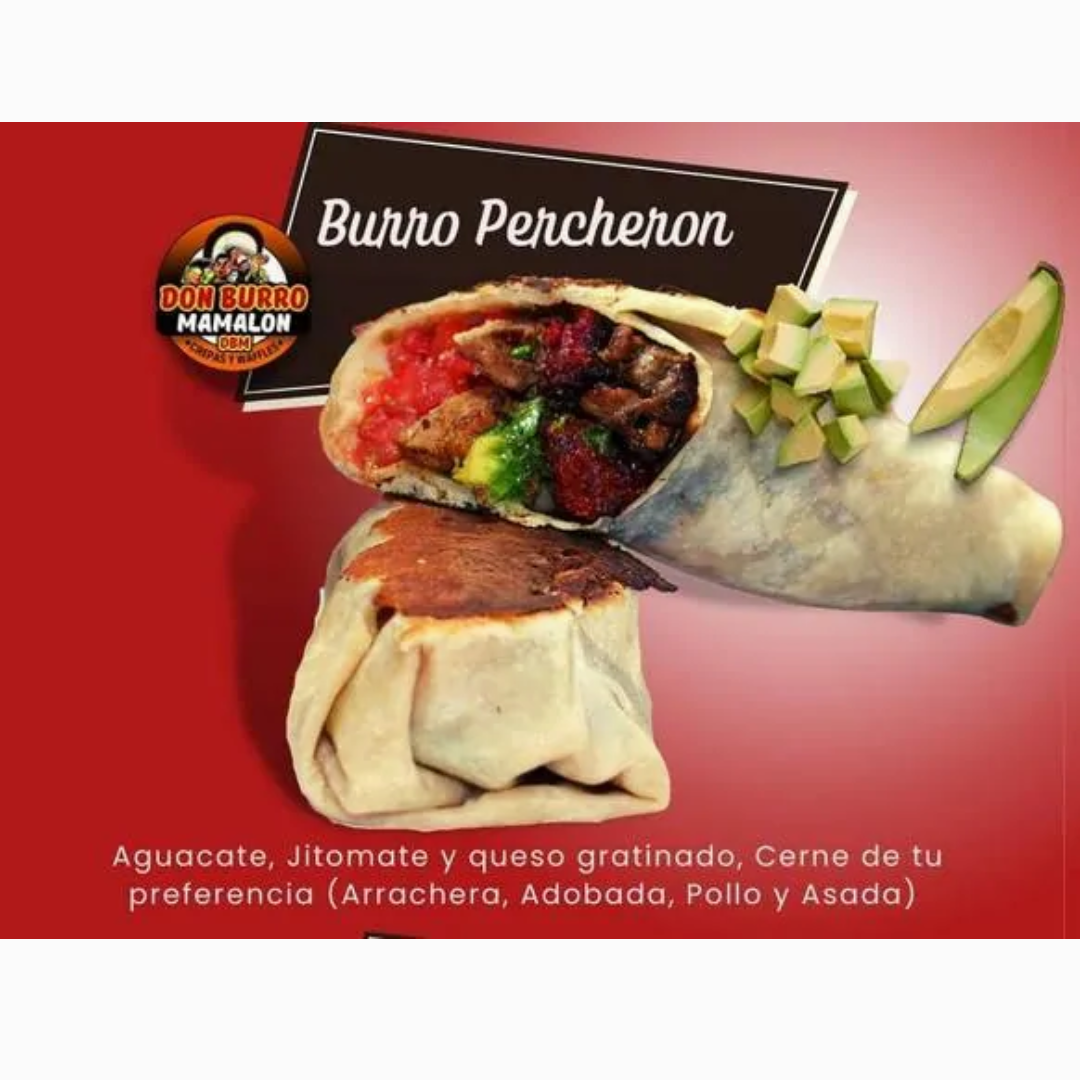Burro Percheron Mediano