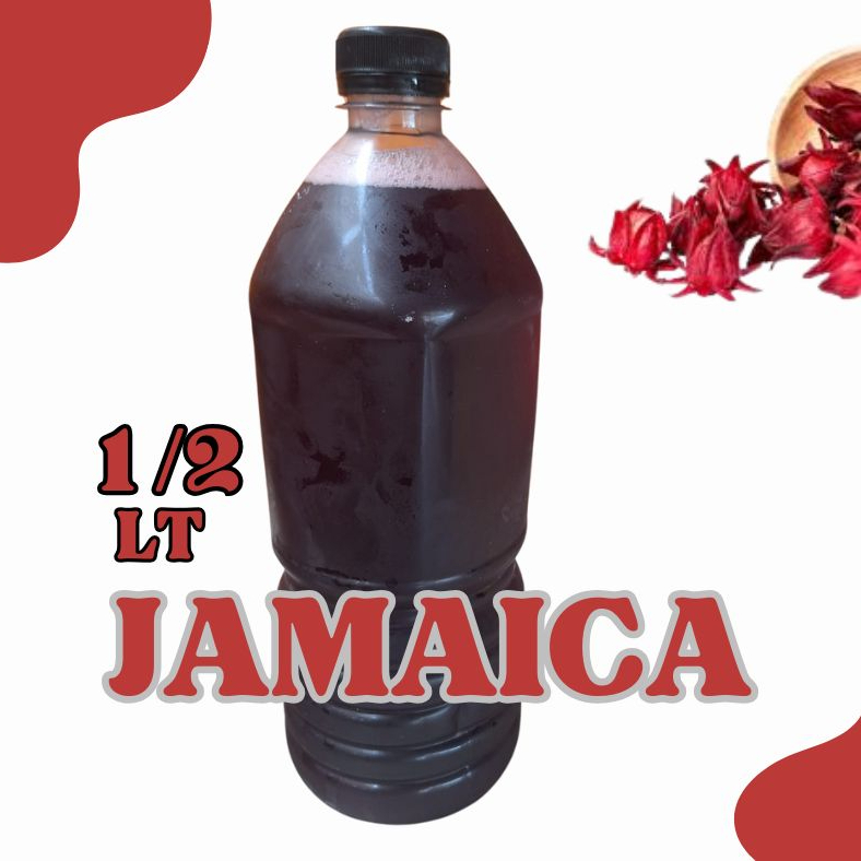 Agua de Jamaica 1/2 Litro