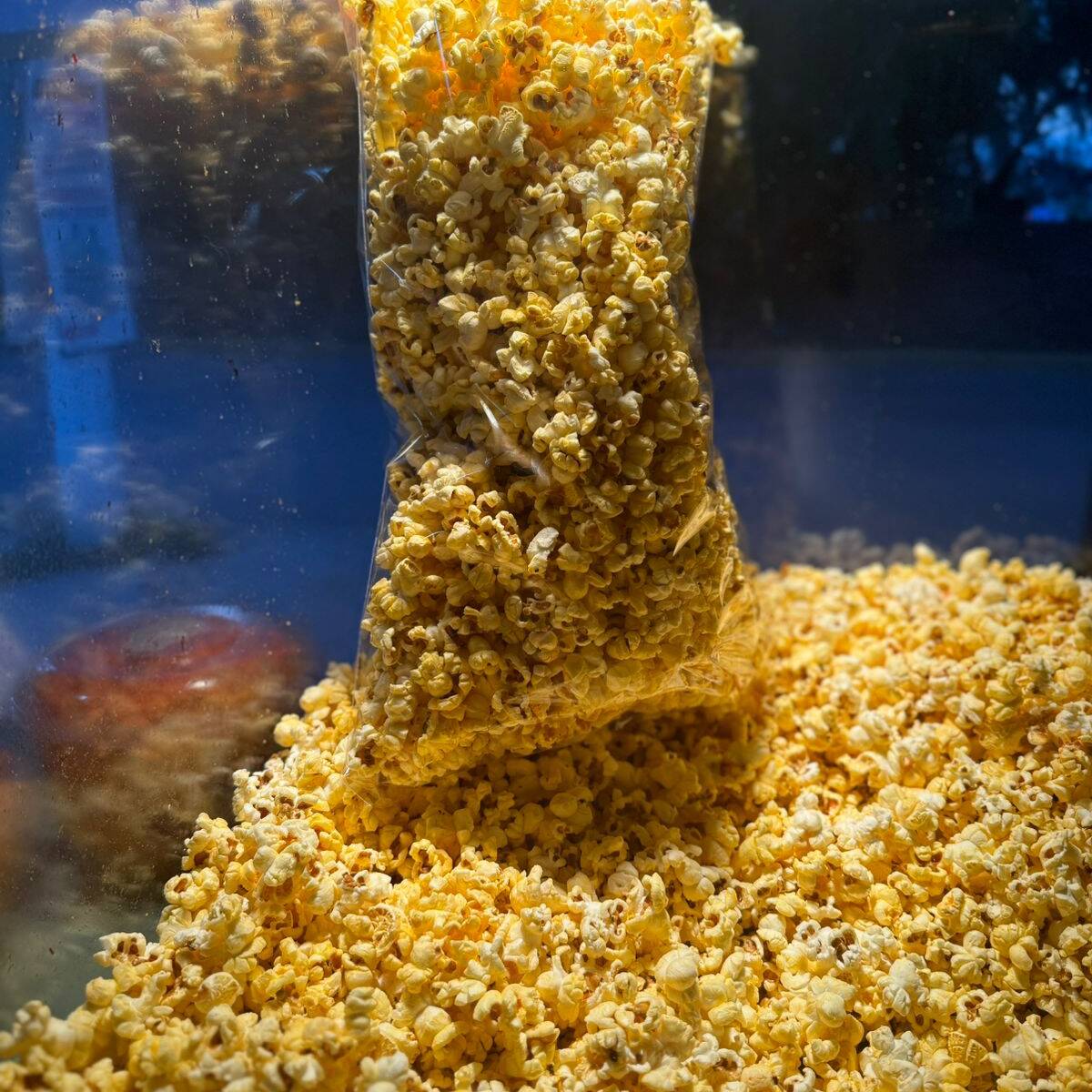 Palomitas Jumbo