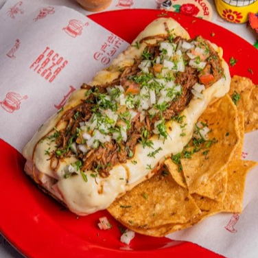 Perro de Birria