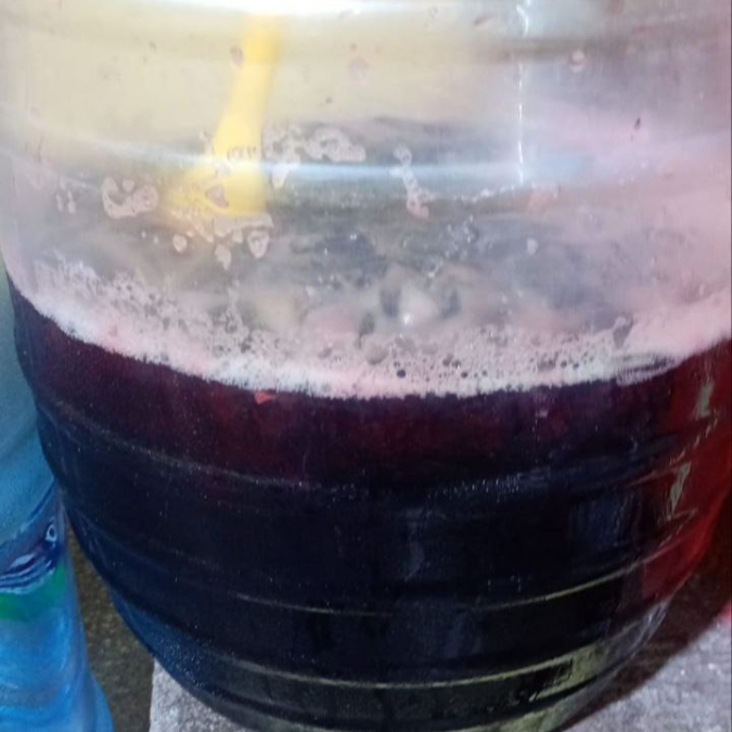 Agua sabor Jamaica 1lt