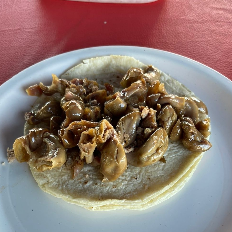 Taco De Tripa