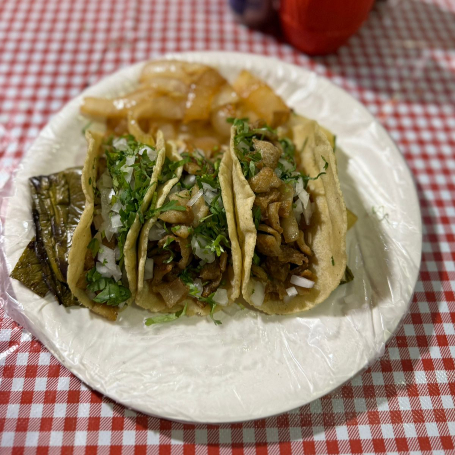Tripa