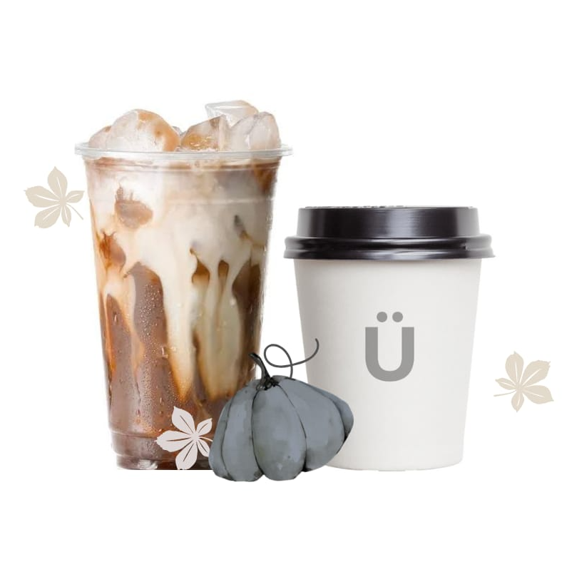 Pumpkin spice de temporada 500 ML