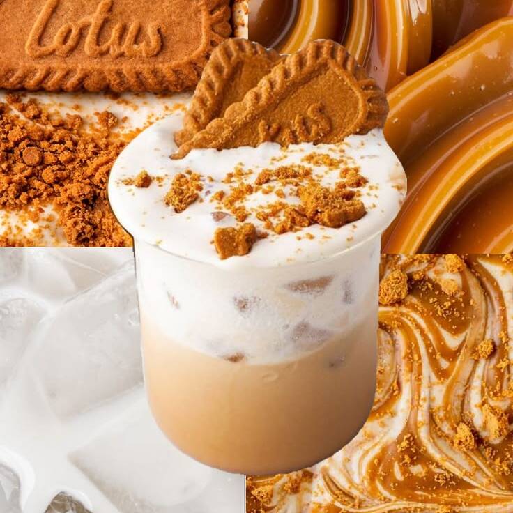 LOTUS LATTE