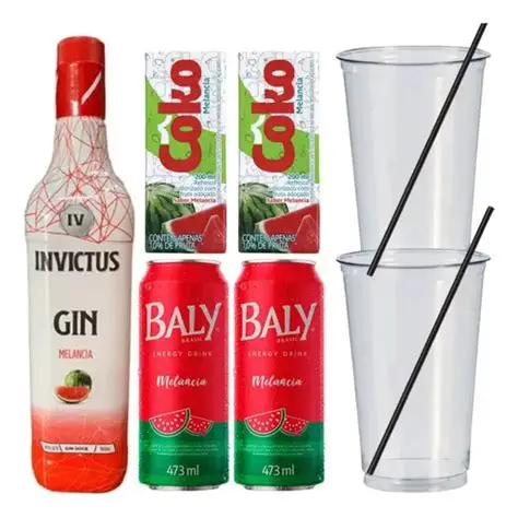 combo gin melancia 4 gelos e o bally
