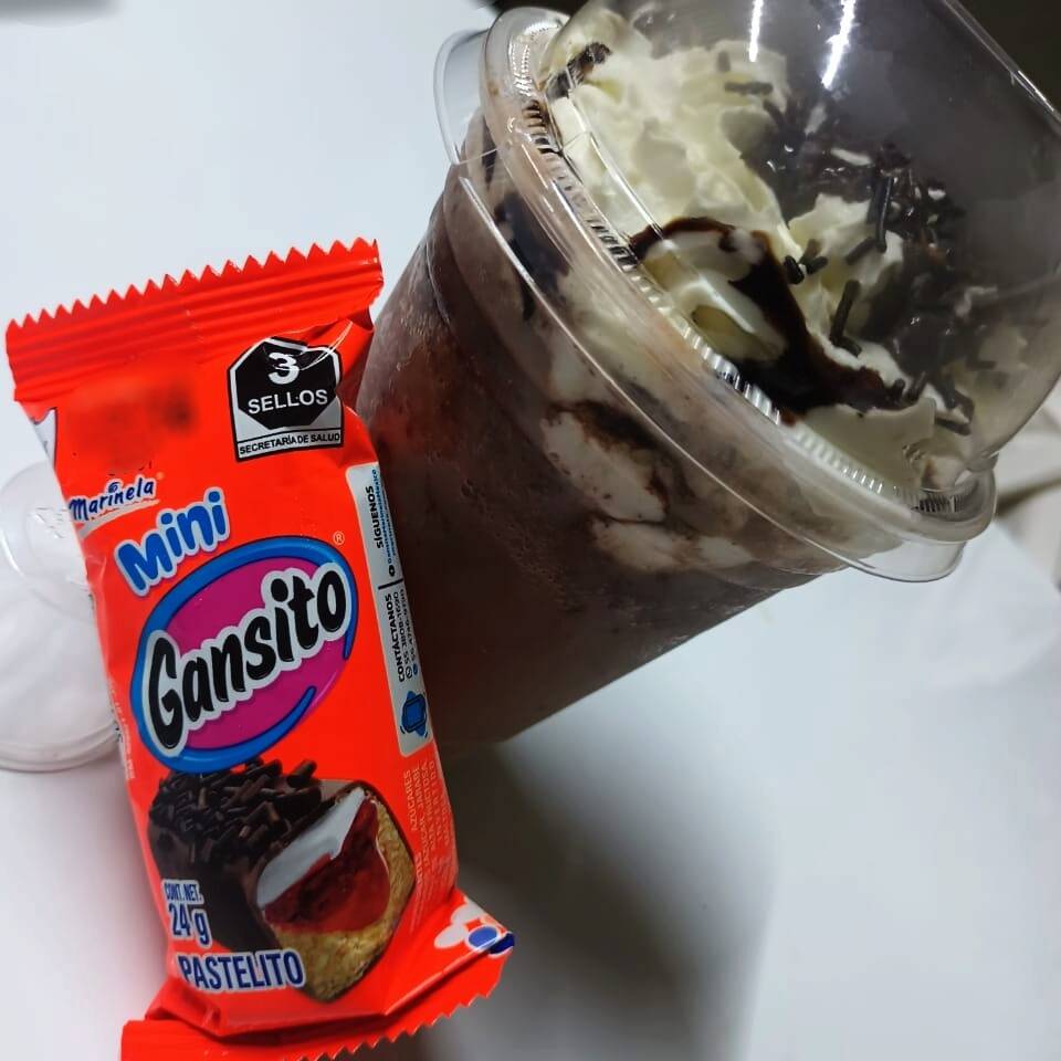 FRAPPE GANSITO 14 OZ