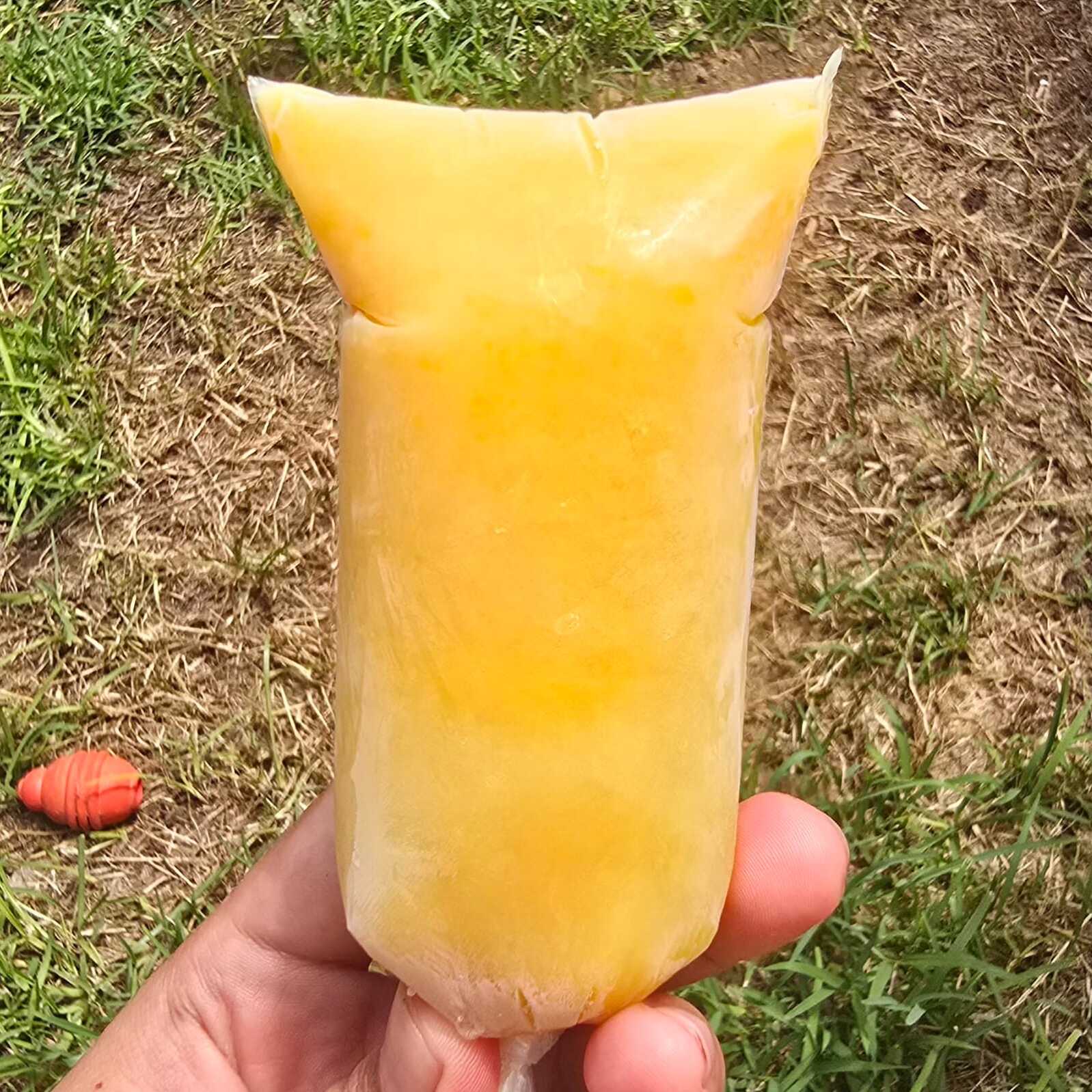 Elote