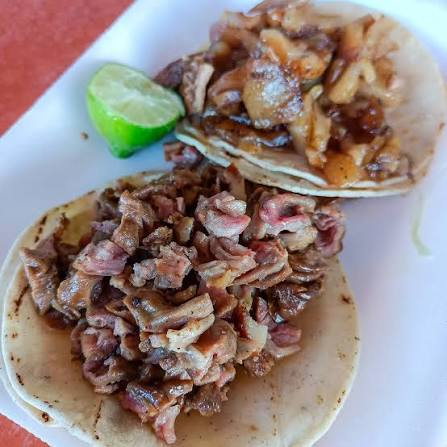 Taco de Buche