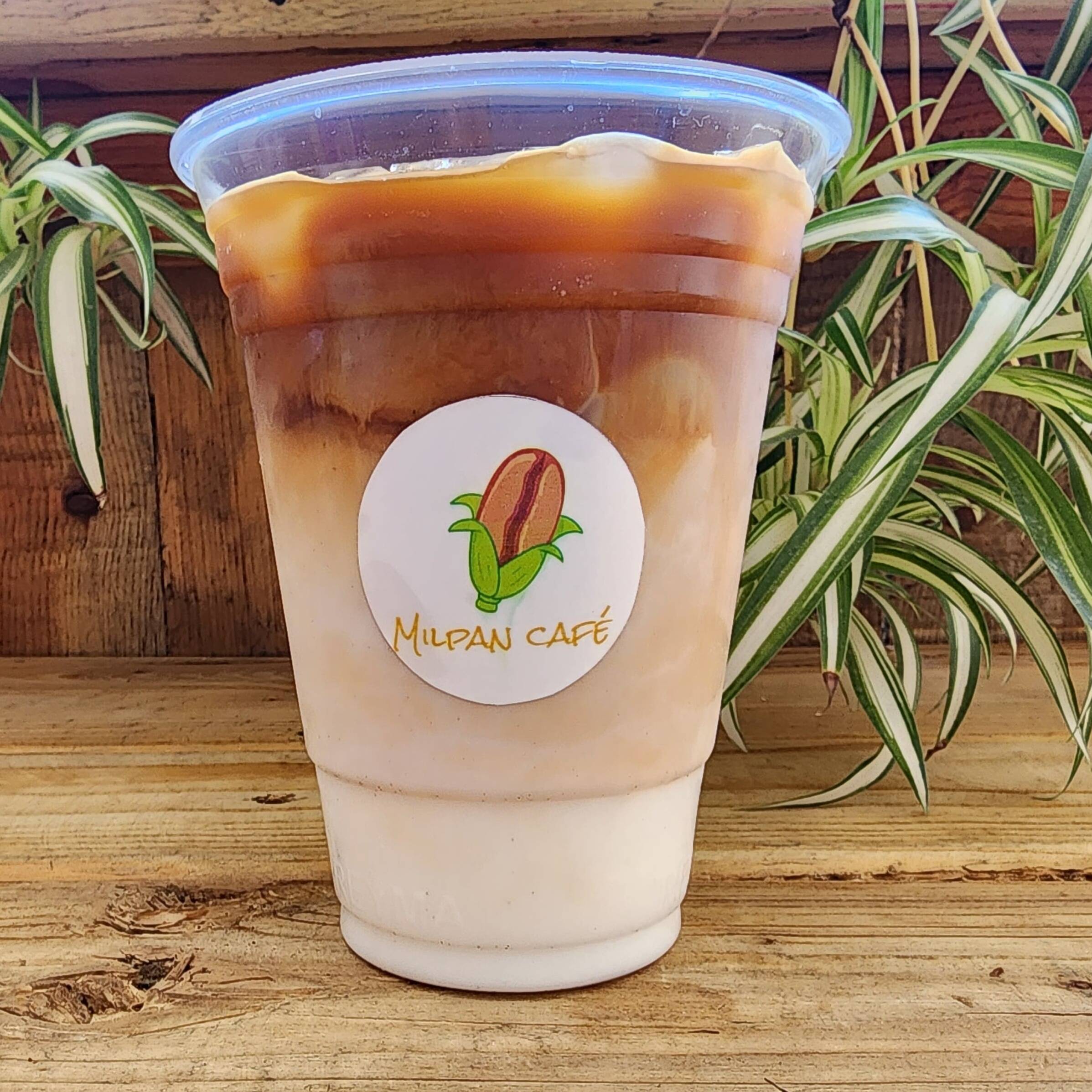 Latte Piloncillo 12 Oz