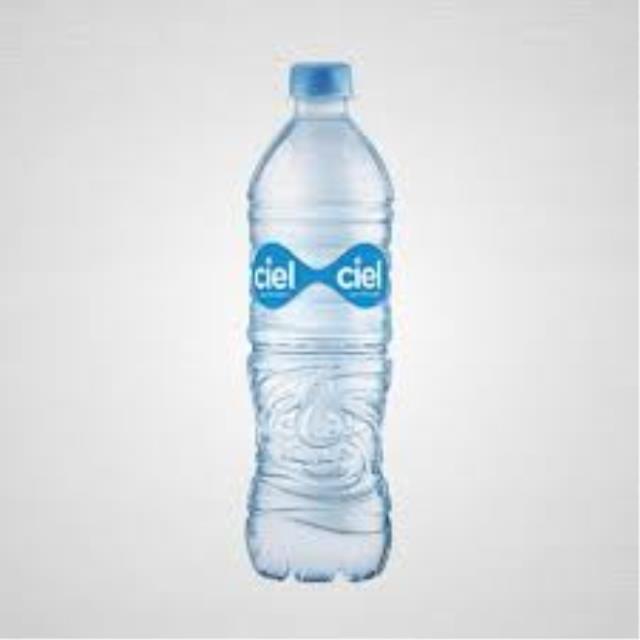 BOTELLA AGUA NATURAL 600 ML