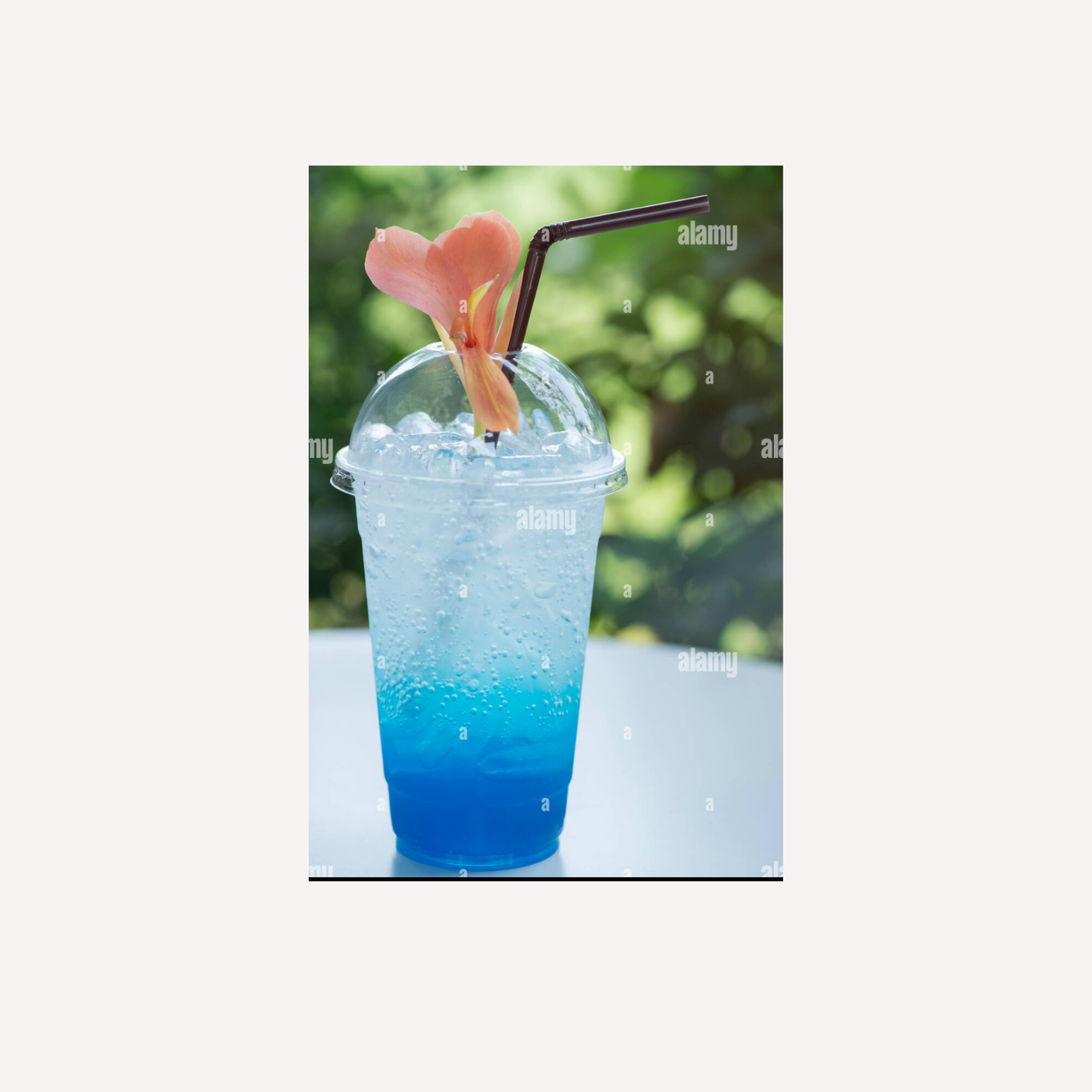 Mora Azul-Soda Italiana